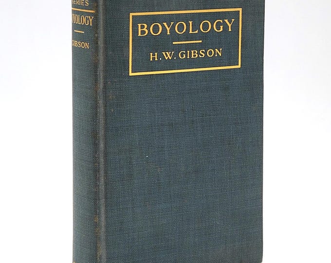 Boyology or Boy Analysis 1919 by Henry W Gibson (YMCA) ~ studies of boy life, social  & moral development