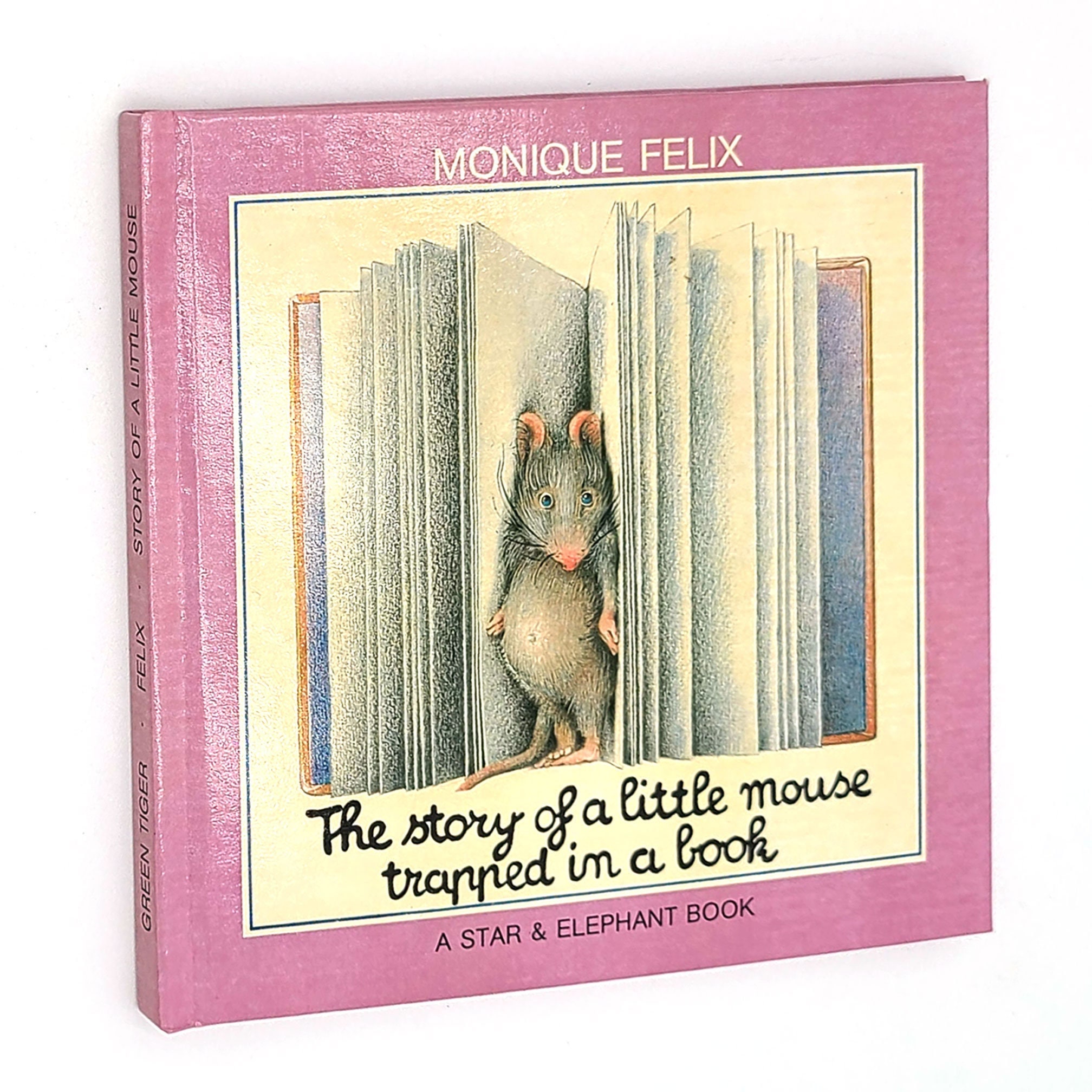 Another Story of the Little Mouse Trapped in a Book 