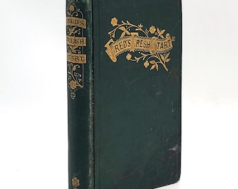 Fred's Fresh Start and What he did by Moral Courage  1870 Ellinor J. Kelly ~ Moral story for boys ~ Sunday School Book ~ Antique Juvenile