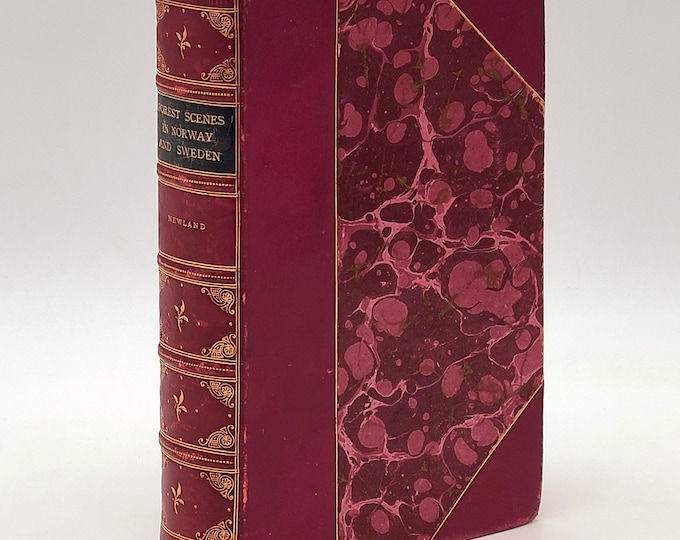 Forest Scenes in Norway and Sweden: being Extracts from the Journal of a Fisherman 1855 Rev Henry Garrett Newman ~ Fly Fishing ~ Scandinavia