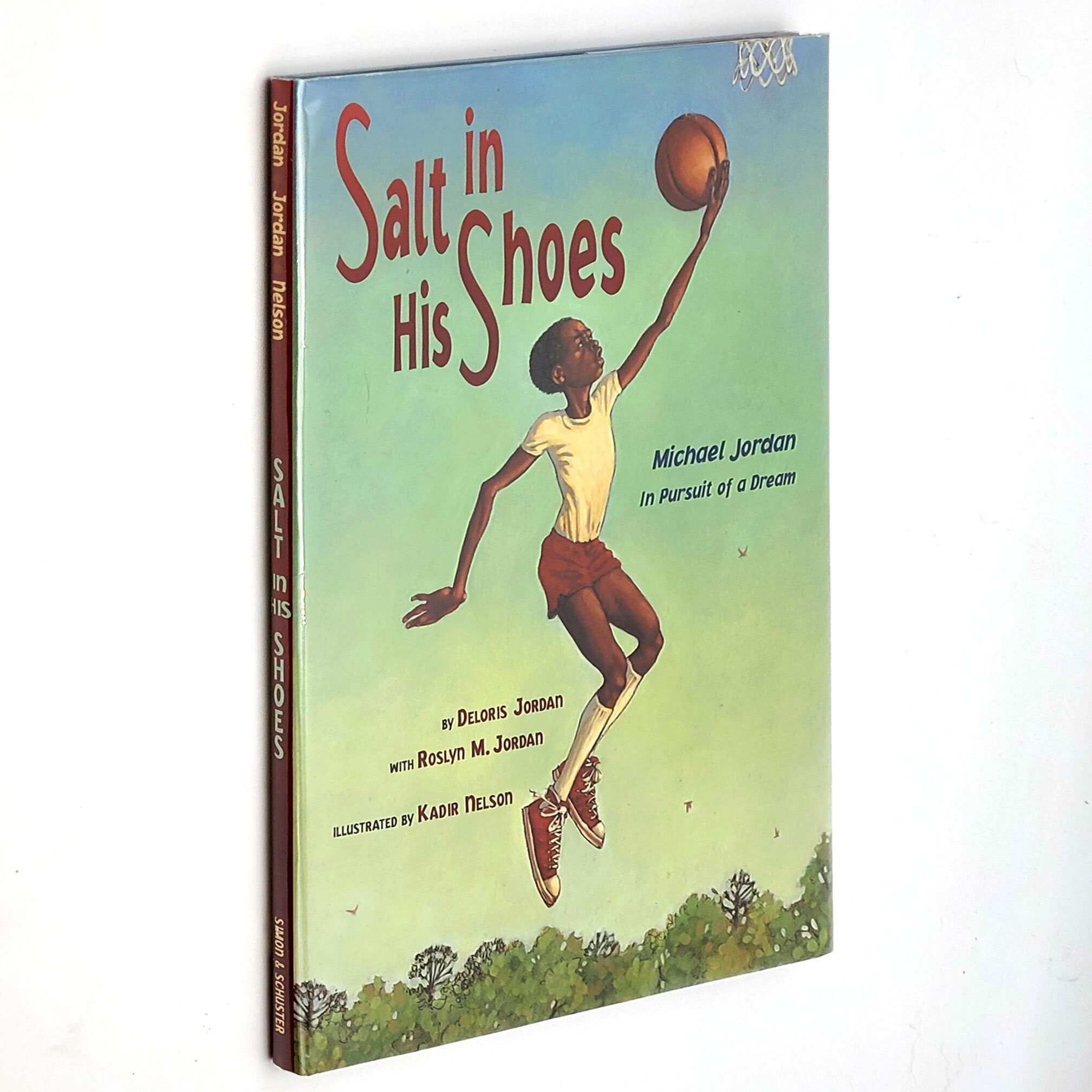 Salt in His Shoes - Michael Jordan: In Pursuit of a Dream 2000 First  Edition, First Printing ~ by Deloris Jordan ~ Basketball ~ Children's