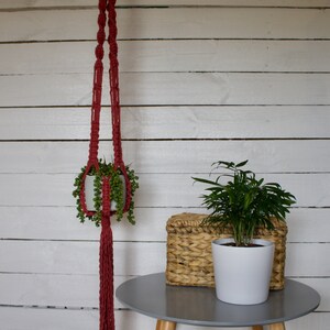 May include: A red macrame plant hanger with a small potted plant hanging from it. The plant hanger has long tassels. The plant is in a white pot and has green leaves. The plant hanger is hanging from a white wooden wall.