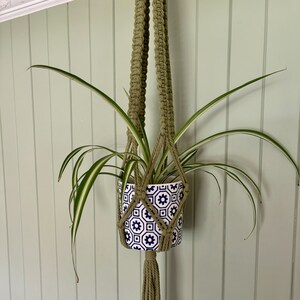 May include: A green macrame plant hanger with a white and blue patterned ceramic pot holding a spider plant.