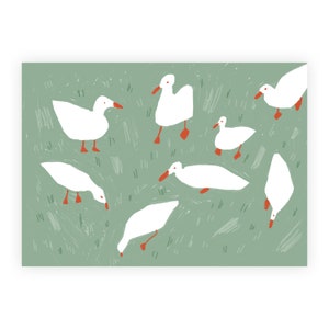 Patos - Postal