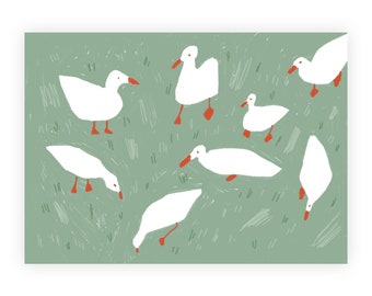 Ducks - Postcard