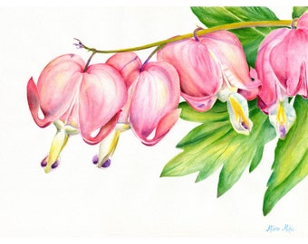 Sweetheart Flower Watercolor Print 19 x 25 High Quality Print