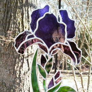 Iris Stained Glass Pattern