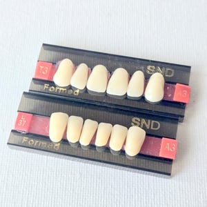 May include: Two black plastic display trays containing sets of off-white artificial teeth. Each tray features the text Formed and SND, with red tabs labeled T3, A3, L37, and A3. The teeth are arranged in a row on each tray, showing various shapes.