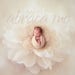 Sam Orlanes reviewed newborn digital background/flower newborn digital backdrop/instant download