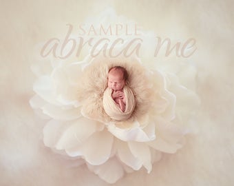 newborn digital background/flower newborn digital backdrop/instant download
