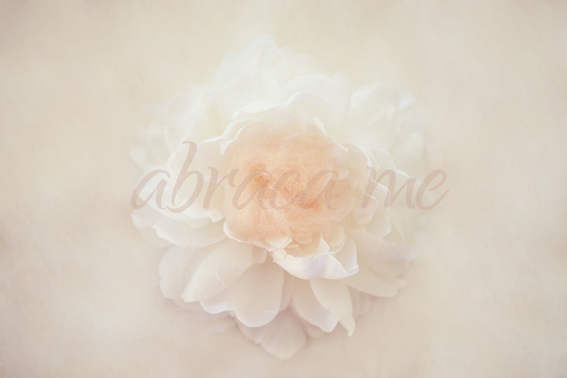 newborn digital background/flower newborn digital backdrop/instant download image 2