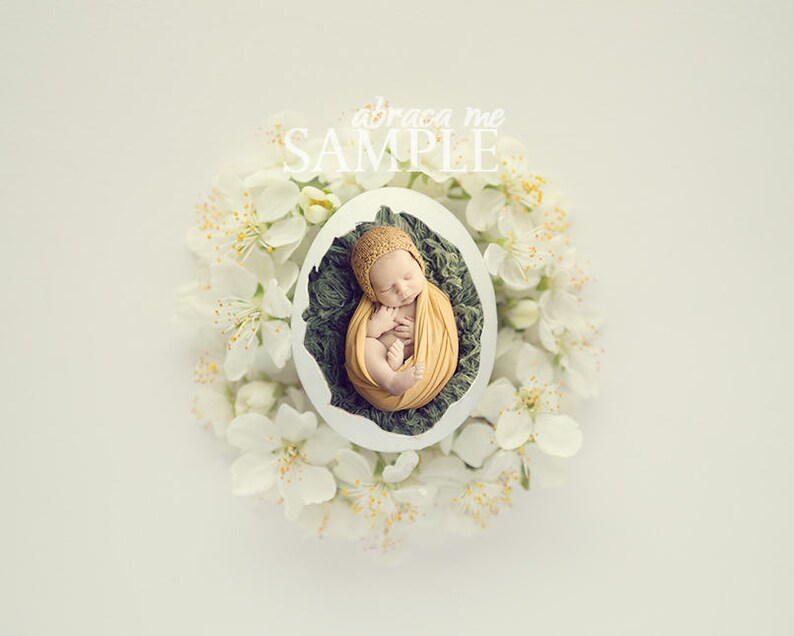 spring EGG newborn digital backgroundflower newborn digital backdropinstant download