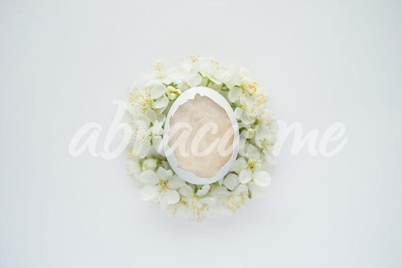 spring EGG newborn digital backgroundflower newborn digital backdropinstant download