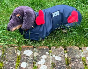 Dachshund Valentine Heart Waterproof Dog Coat