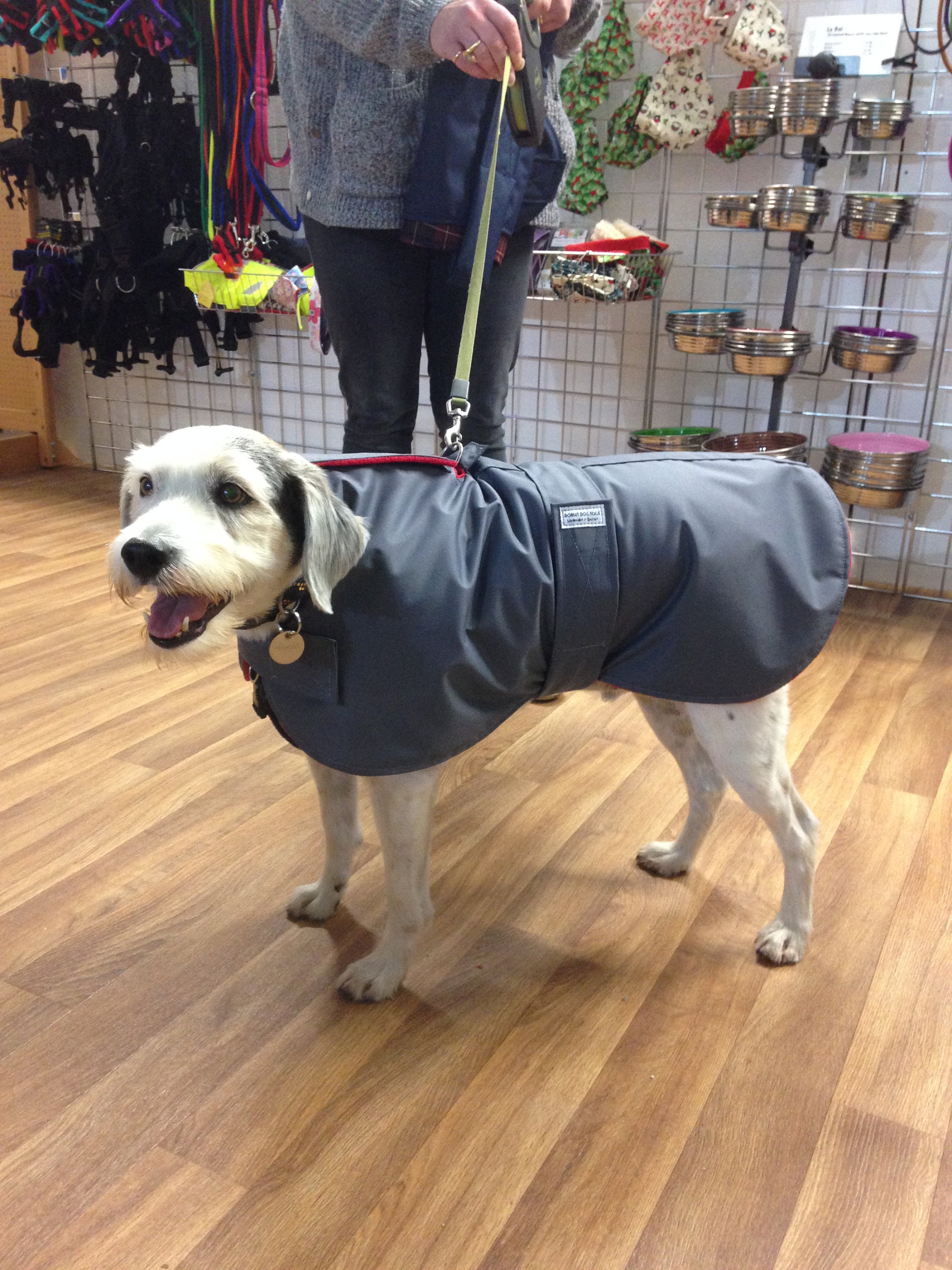 Waterproof Dog Coat to Wear Over Harness Made to Measure Etsy UK