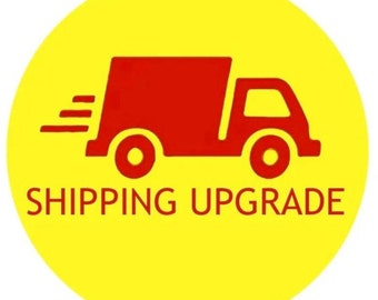SHIPPING UPGRADE add-on for faster shipping and delivery