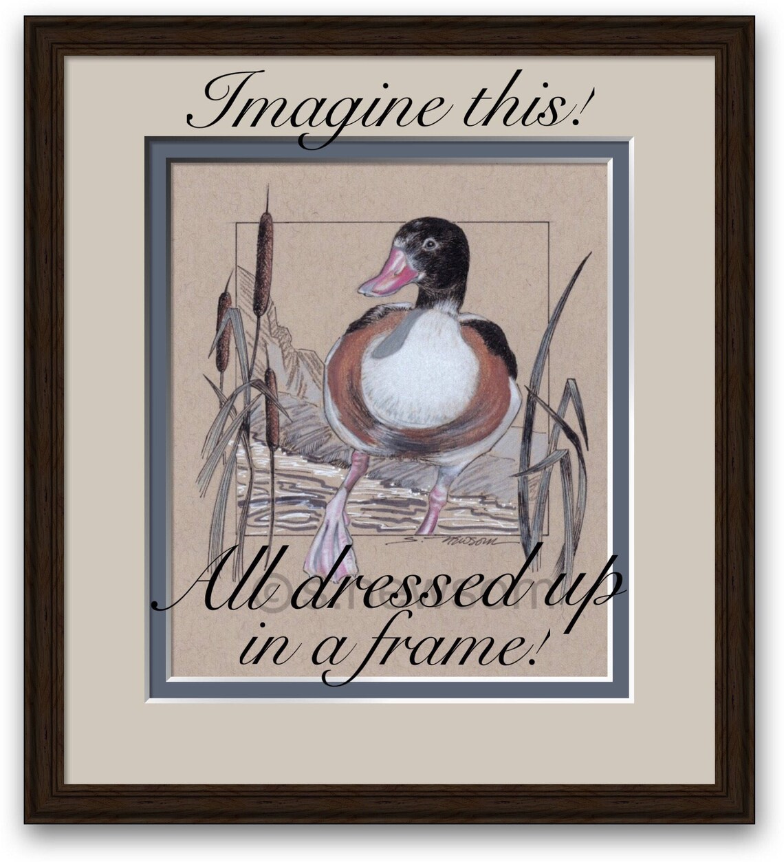 ORIGINAL ARTWORK Duck Drawing Common Shelduck Bird drawing 