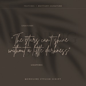 May include: A brown background with a shadow of a leaf. The text "The stars can't shine without a little darkness" is written in a cursive font.