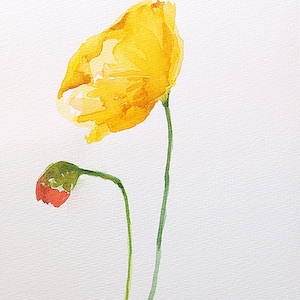 Original Watercolour Painting,Yellow Poppy,Watercolor Painting Decor, Wall Art