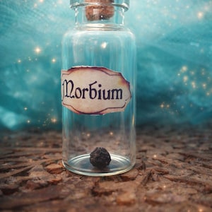 Just Add Magic Spice - Morbium Seed - prezent na święta