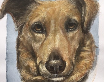 Hund malen lassen, personalisierbar, Auftragsportrait, Hund vom Foto gemalt, Aquarell