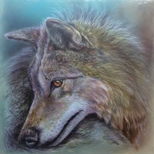 Wolf art print, limited reproduction of the original on canvas, 40 x 40 cm, lightfast, signed image 8