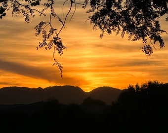 Metal Wall Art Print - Modern and Decorative Art - Sunset