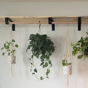 May include: Three hanging plants in white macrame plant hangers with wooden beads. The plants are in white pots and are hanging from a wooden shelf with black metal brackets.