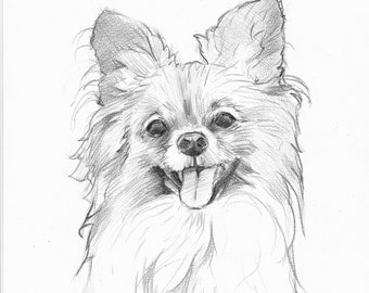 Featured image of post Simple Dog Pencil Drawing - The pencil drawings of dogs are all original, some made after photos, i have taken, some made after photos on the internet or photos taken by friends.