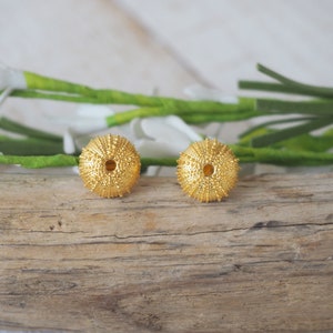 Sea urchin and shell earrings, Sterling silver Sea urchin earrings, Cowrie shell  earings, Summer trends, beach bracelet, Boho earrings ,