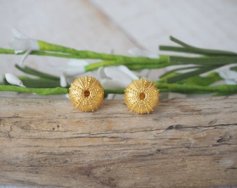 Sea urchin and shell earrings, Sterling silver Sea urchin earrings, Cowrie shell  earings, Summer trends, beach bracelet, Boho earrings ,