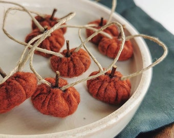 LITTLE PUMPKINS |  felt squash garland // hanging decoration // natural ornament // season