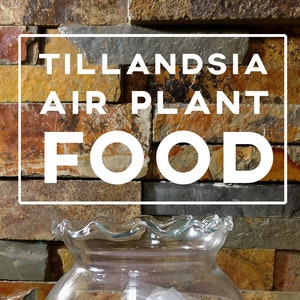Bromeliad Tillandsia Fertilizer || AirPlant Fertilizer || 17-8-22 (12- Month Supply || ~0.8 oz)