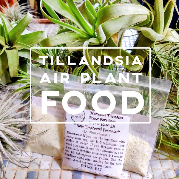 Bromeliad Tillandsia Fertilizer || Air Plant Fertilizer Food || 16-9-25 (12- Month Supply || ~0.8 oz)