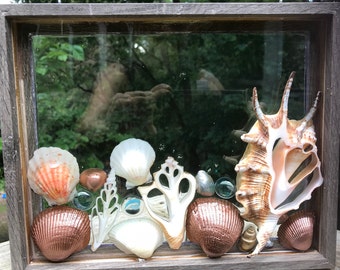 8”x10” Mixed Seashell Suncatcher, Acrylic Seashell Window Hanging, Framed Seashell Sun Catcher, Seashell Art