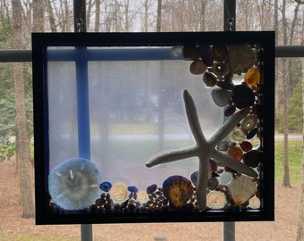 11”x14” Tinted Starfish and Sand Dollar Suncatcher, Tinted Acrylic Seashell Window Hanging, Framed Seashell Sun Catcher, Seashell Art