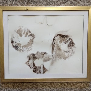 Puede incluir: Una obra de arte enmarcada que presenta tres formas abstractas de hongos en tonos grises y blancos sobre un fondo blanco.