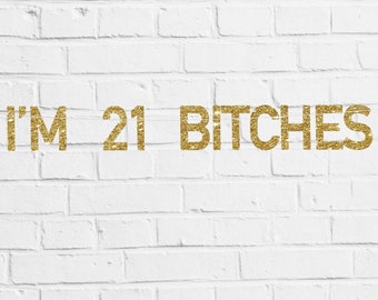 21 birthday banner 21st birthday party banner 21 banner 21 birthday decoration birthday party decor 21st birthday decor 21 birthday for her