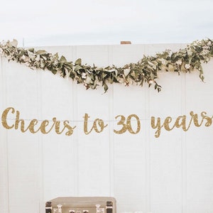 Cheers to 30 years banner 30th birthday banner 30 banner 30th birthday decor 30 decorations 30th birthday backdrop 30th birthday sign