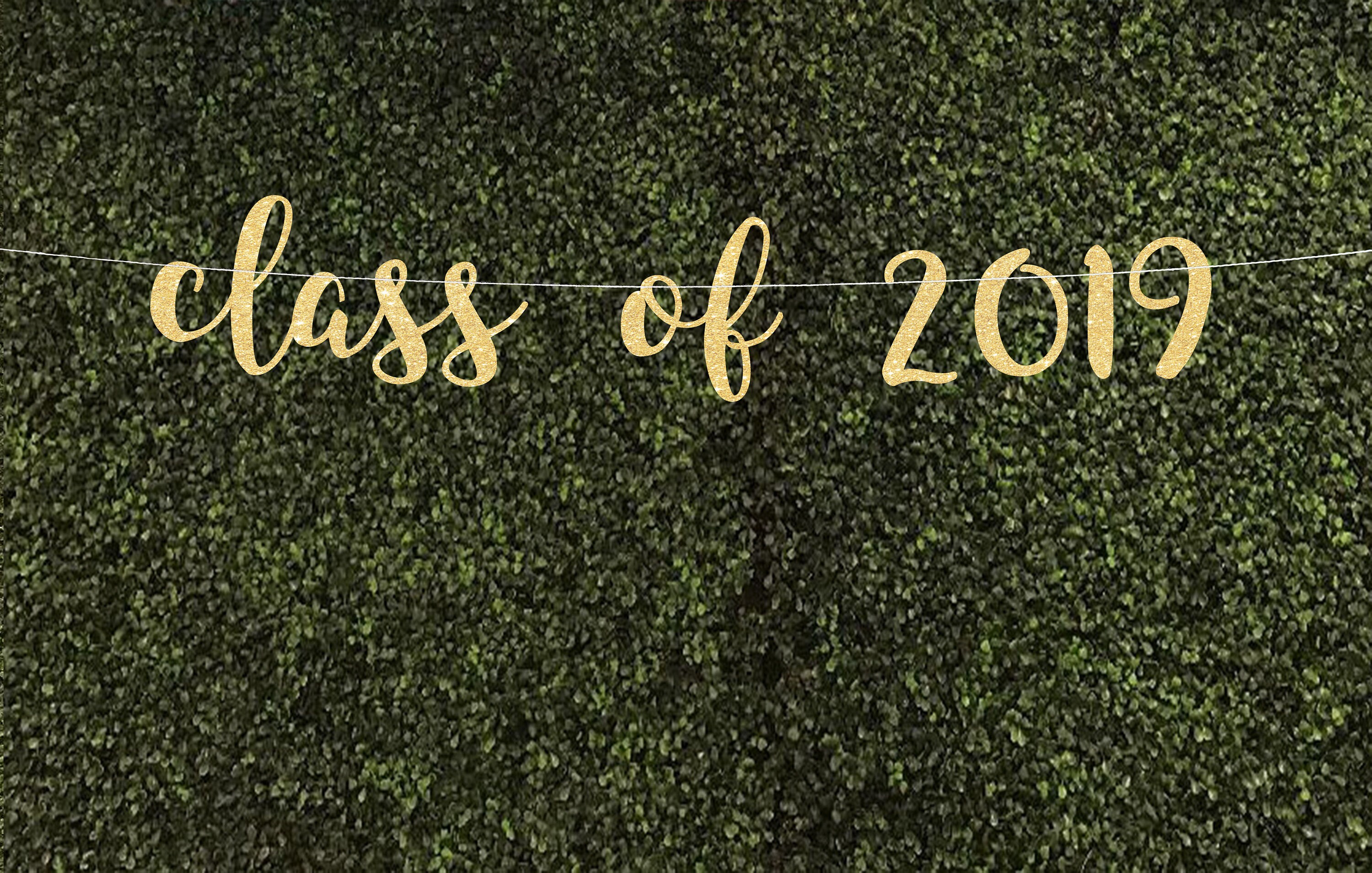 Graduation Party Banner Class Of 2019 Banner College
