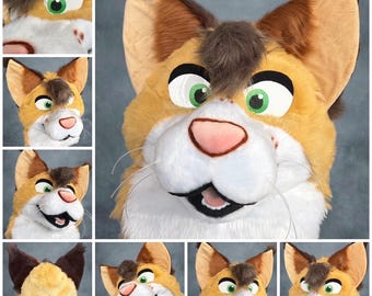 Wild Cat Head