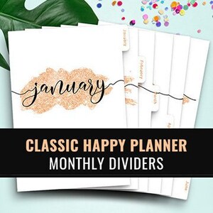 Happy Planner Dividers Happy Planner Tabs, Happy Planner Insert, Happy Planner Classic Monthly Tabs, Printable Dividers Planner Divider Tabs image 1