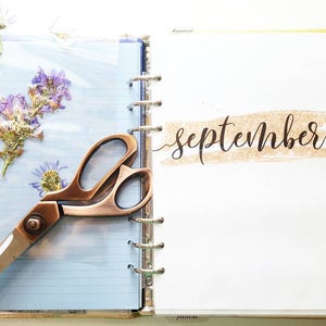 Planner Dividers A5 Month Tabs • A5 Monthly Dividers Filofax A5 Planner Insert Printable Dividers A5 Monthly Planner Tabs Glitter Inserts image 9