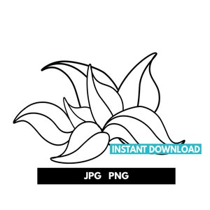 May include: Black and white line art of a stylized flower with multiple petals. The image includes the text "INSTANT DOWNLOAD" in a teal rectangle and "JPG PNG" in a black rectangle.