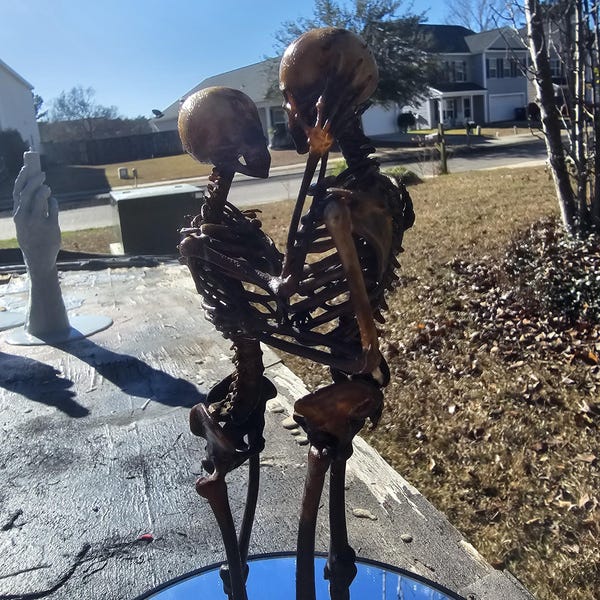 Skeletal Lovers Valentine's Day Gift