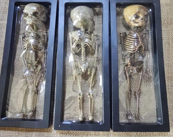 ヴィンテージのメキシコ民芸品、手彫りの猿のマスク - Etsy 日本