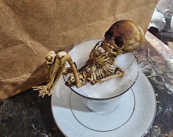 cradled fetal skeleton model resting in teacup.