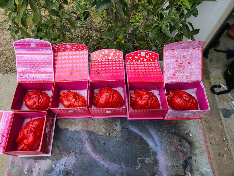 Valentines Boxes Human Heart in a Box Etsy