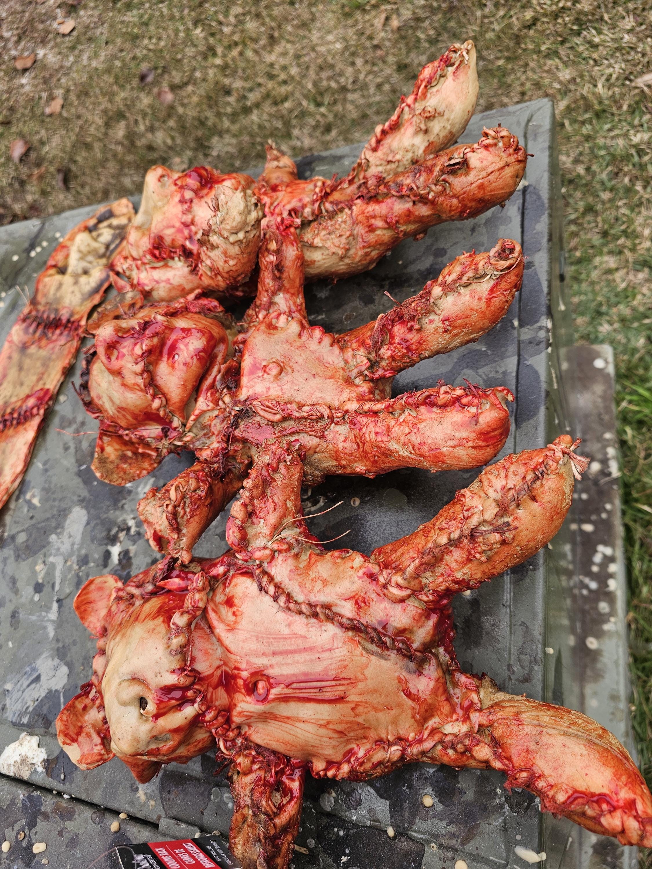 人皮テディベア - Etsy 日本