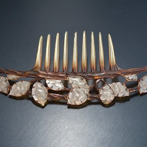 Art Nouveau Elisabeth Bonté GIP Flamand Style Honesty Seeds Horn Hair Comb, Antique French Carved Horn Comb, Bridal Comb, Naturalistic Comb image 1